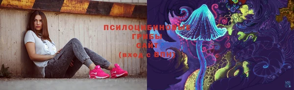 тгк Белокуриха