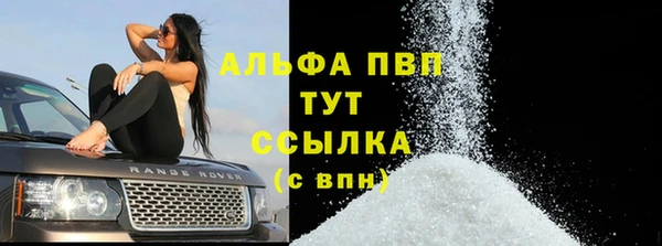 прущие грибы Богородицк