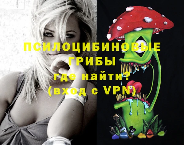 a pvp Беломорск