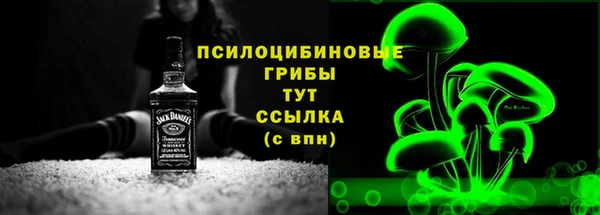 прущие грибы Богородицк