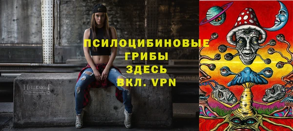 прущие грибы Богородицк