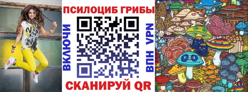 закладка  Боровичи  даркнет состав  Псилоцибиновые грибы GOLDEN TEACHER 